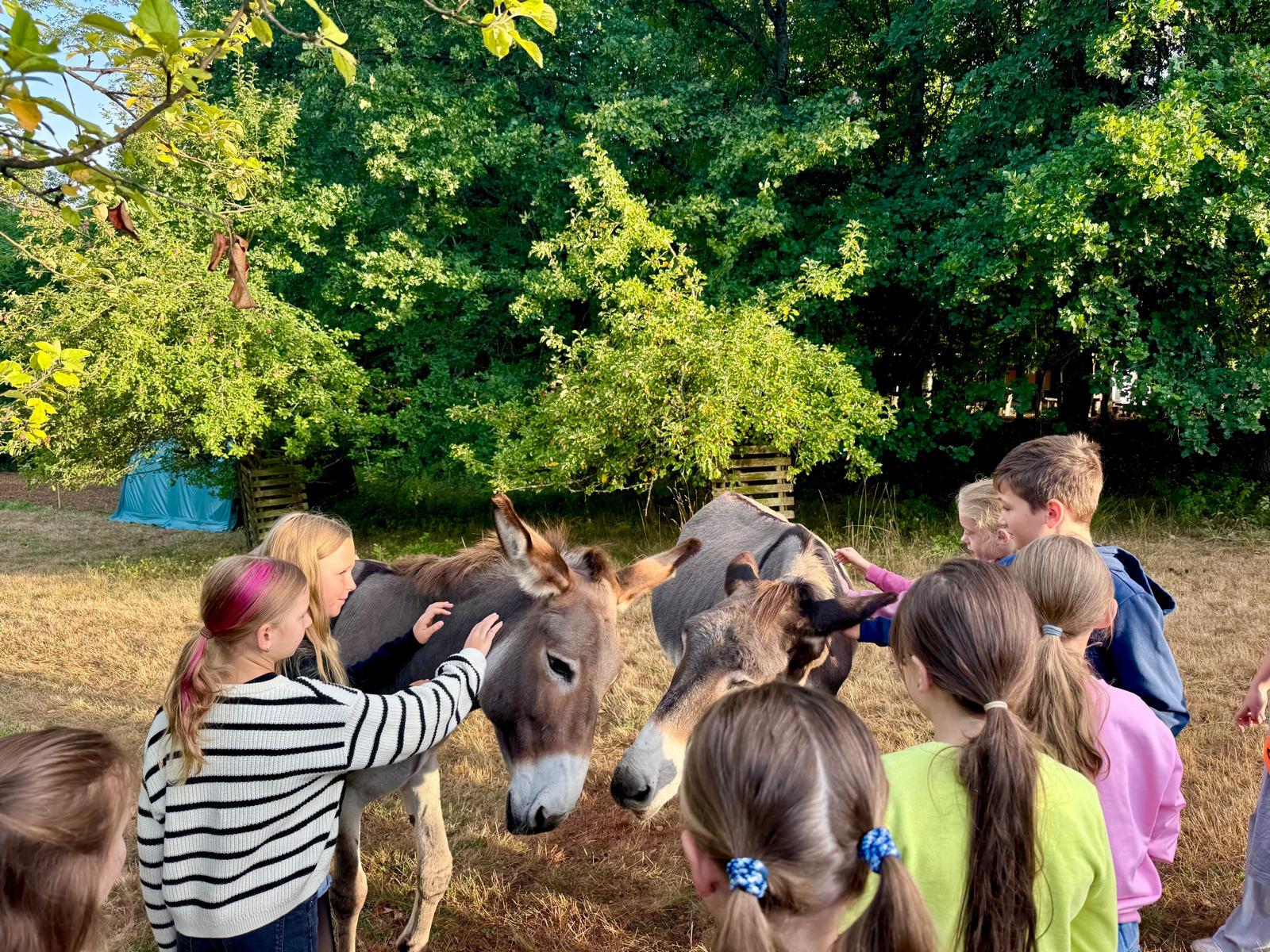 Kindergruppe um zwei Esel auf der Weide